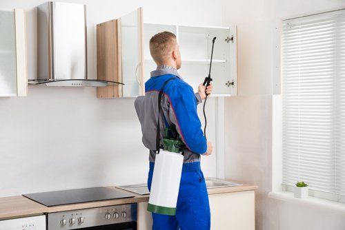 Expert spraying pesticides in kitchen 