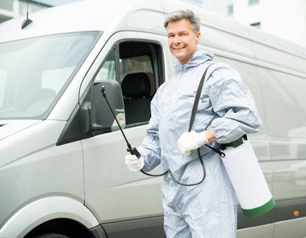 Expert with pesticides equipement