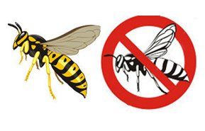 Bee control