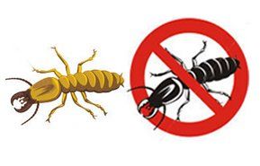 Termite control