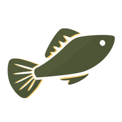fish farm