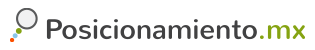 https://www.posicionamiento.mx/