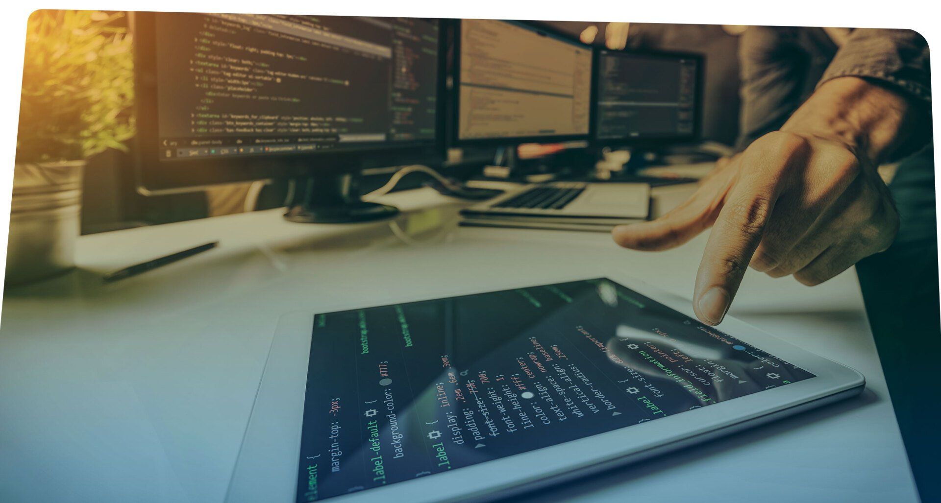 Desarrollo ecommerce pengo stores