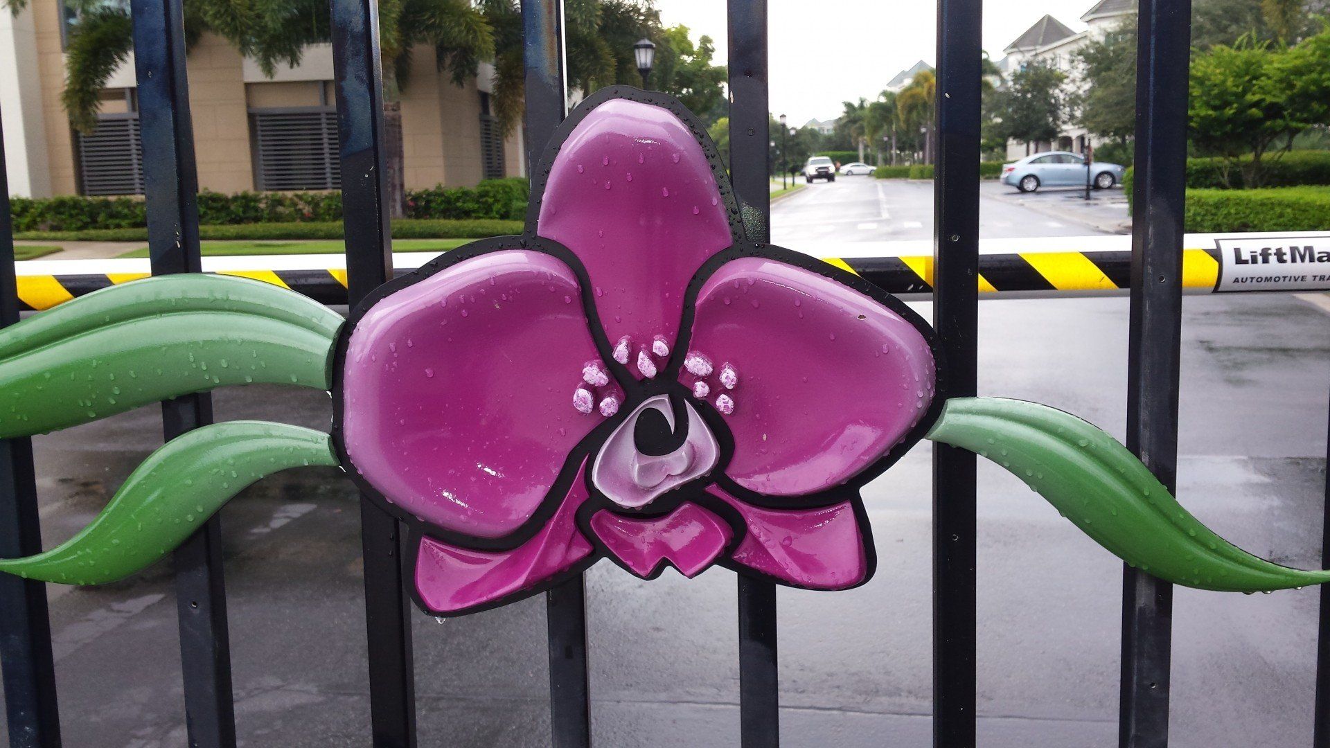 A purple orchid is painted on a black fence.