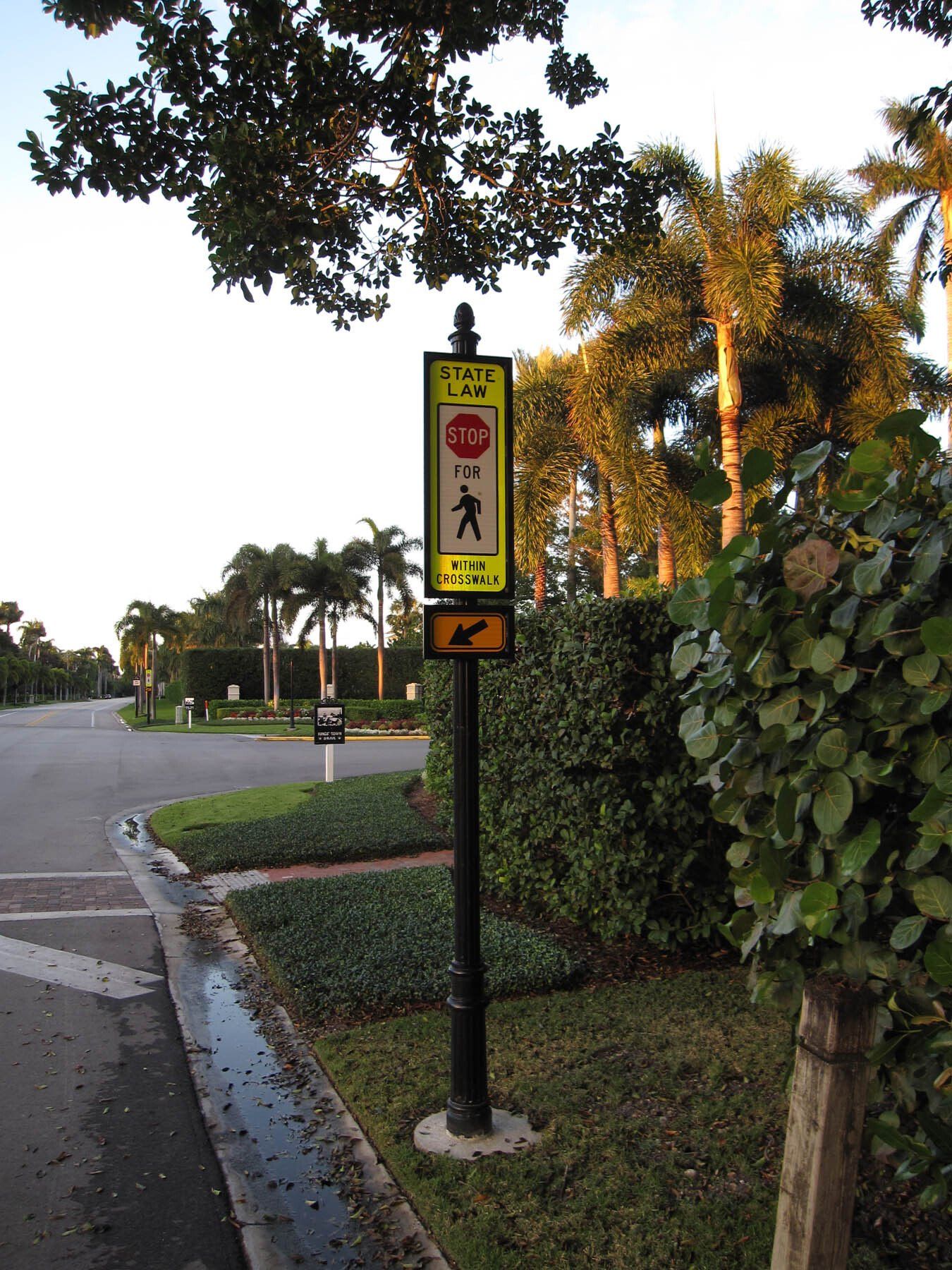 A stop sign is on the side of the road