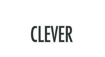 Logo Clever