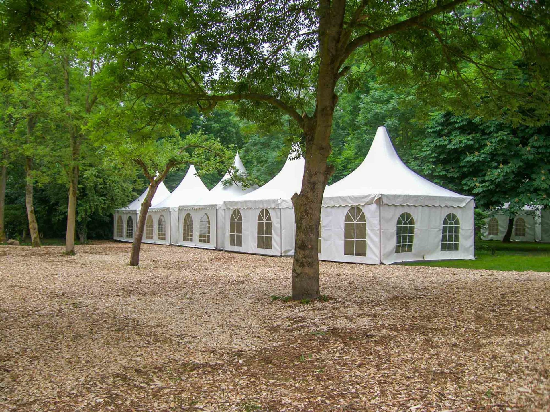 Pagodenzelte, Wald