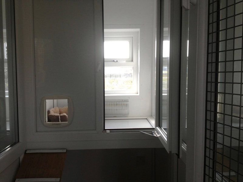 Window section