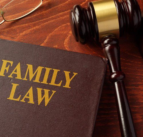 Family Law Book — Sanford, FL — Law Office of Mira Berry Family Law Book — Sanford, FL — Law Office of Mira Berry