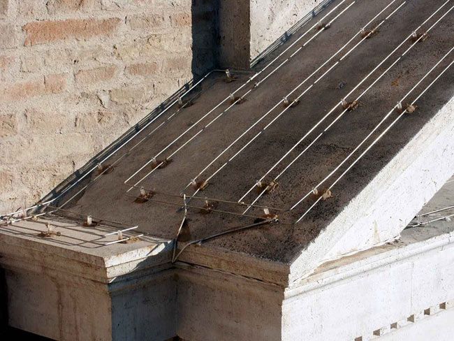 piccioni su tetti