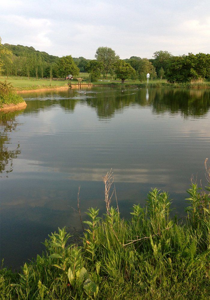Lake
