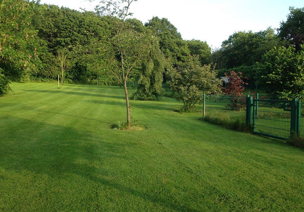 Play area