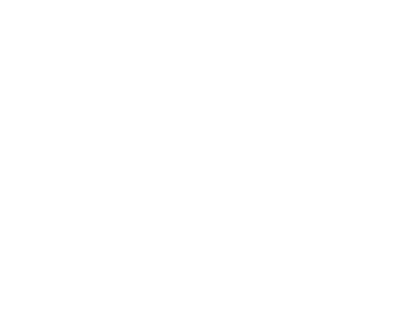 Beeches Farm Kennels logo