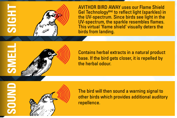 A picture of a bird with the words sound sight and smell sight
