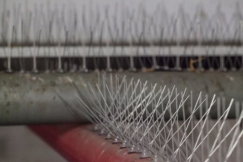 A close up of a anti bird spikes.