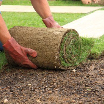 Turf laying