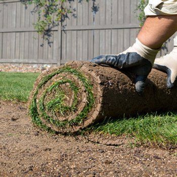 Turf growers