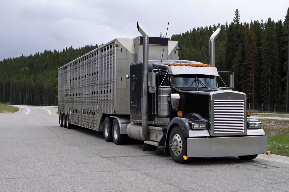 camion da trasporto