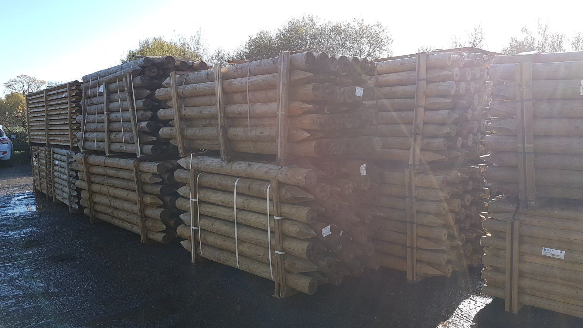 fencing stakes