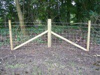 Wired fencing