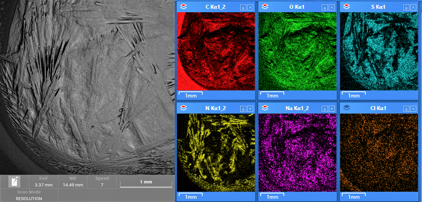 SEM image of urea crystals SEM image of urea crystals