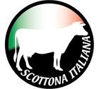 logo scottona AMBROCARNI-LOGO