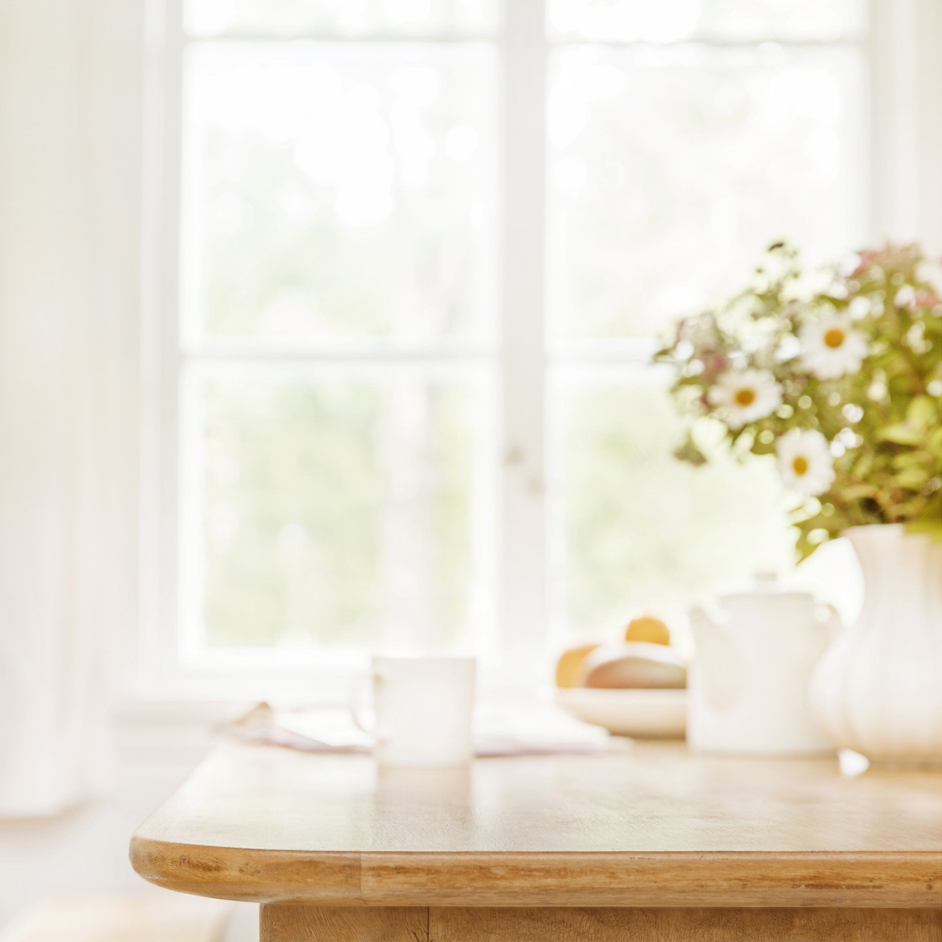 Plants in front of window