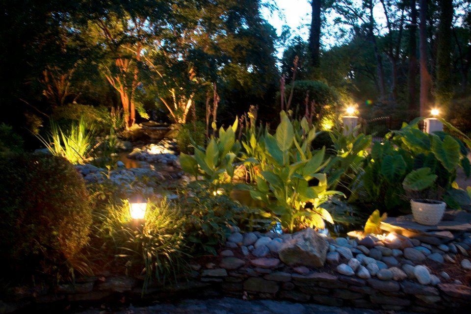 Close Up Of Plants And Bushes Lit Up By Landscape Lighting — Virginia Beach, VA — Gentle Rain Close Up Of Plants And Bushes Lit Up By Landscape Lighting — Virginia Beach, VA — Gentle Rain