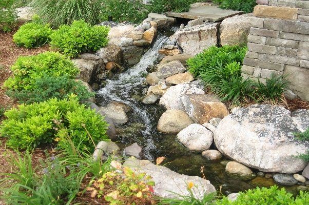 Backyard With Lush Bushes And Small Wooden Bridge — Virginia Beach, VA — Gentle Rain