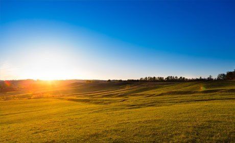 Open land