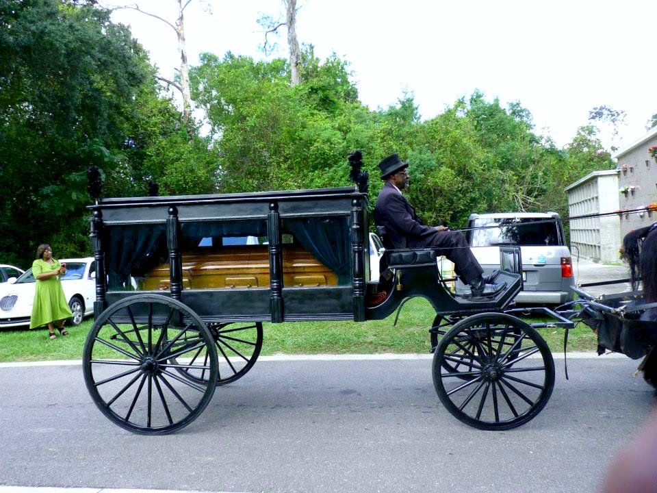 horse and buggy hearse Jacksonville