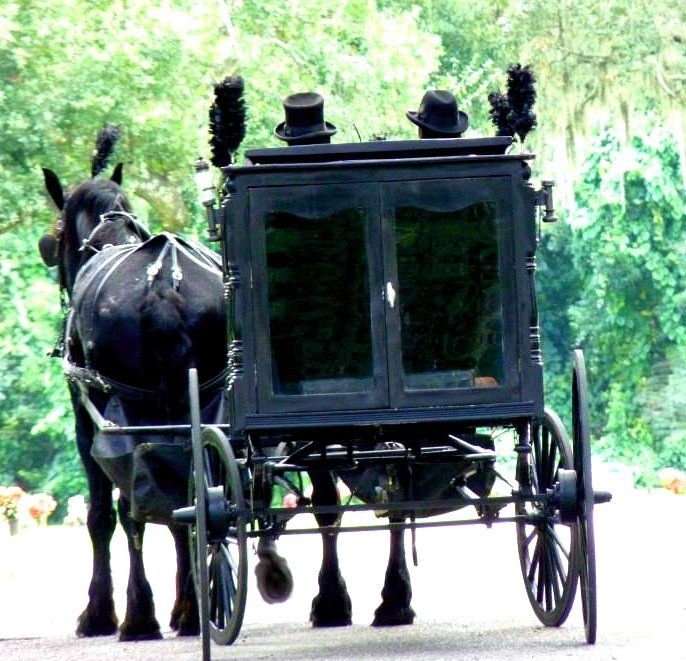 horse drawn hearse