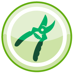 tree cutting tool