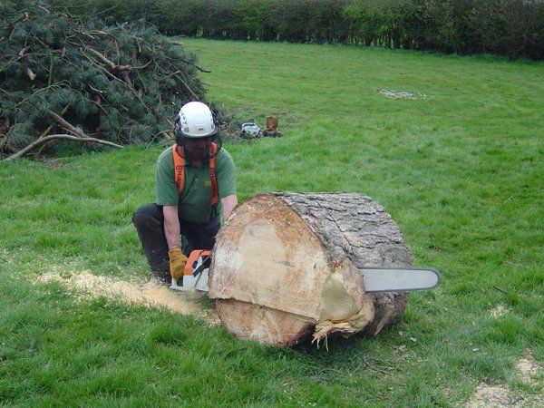 wood cutting