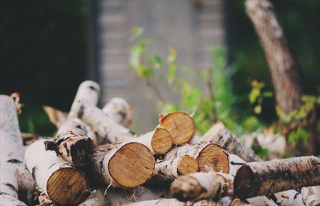 wooden logs
