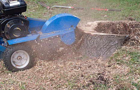 stump removal