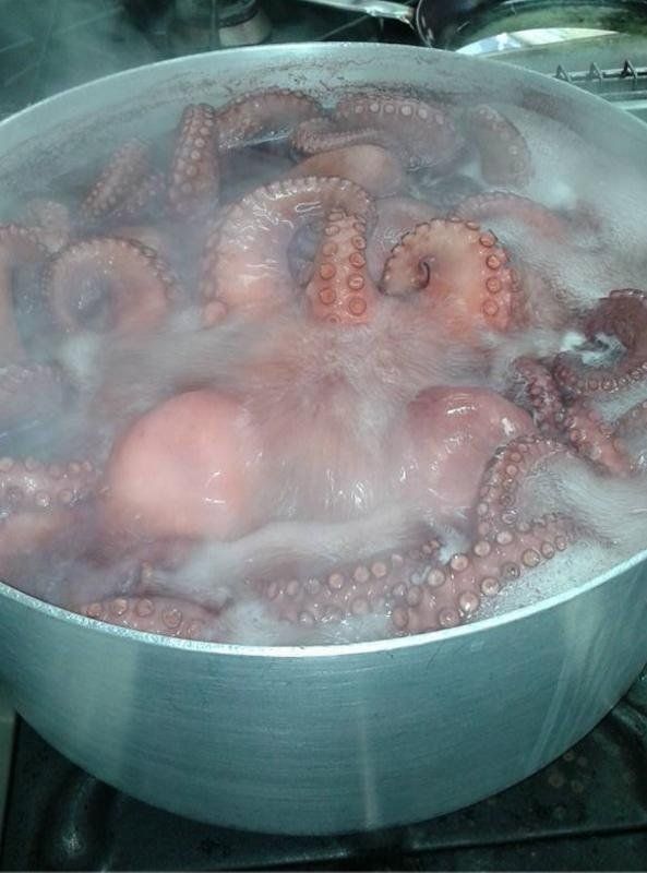 polipo in una pentola bollito