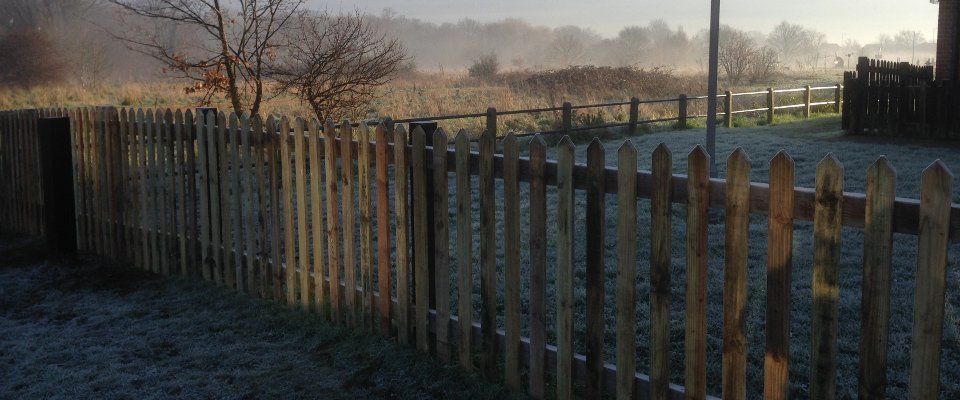 wooden fencing in a garden area