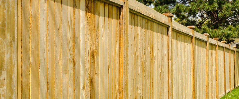 high-rise fencing for a farm