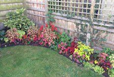 garden care
