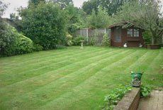 lawn maintenance