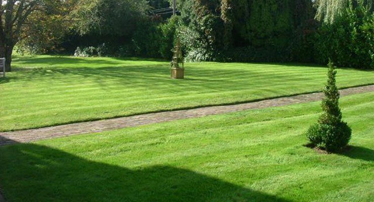 green lawns