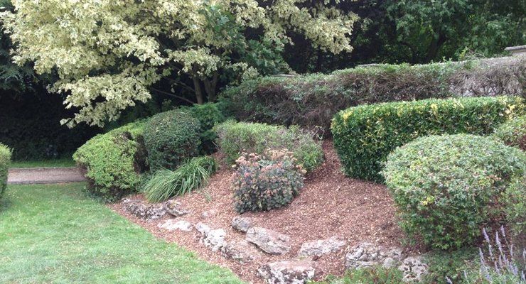 domestic gardening