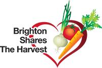 bsth logo