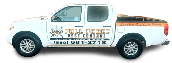 full force pest control