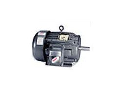 Electric Motor