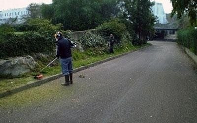 Giardiniere scavare sulla strada