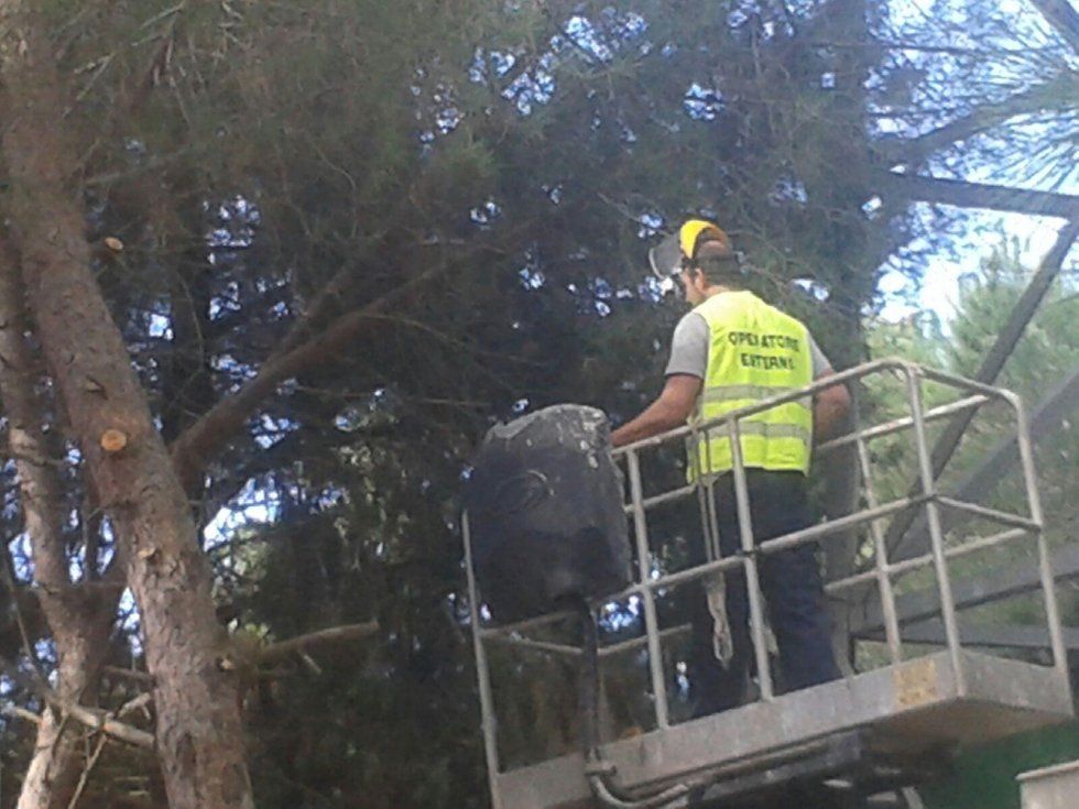 L'uomo sta tagliando un albero con una motosega