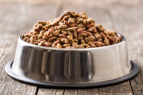 Dog Food In Metal Bowl