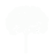 JT's Tree & Landscape, Inc Logo JT's Tree & Landscape, Inc Logo